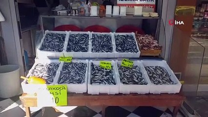 Düzce'de hamsi fiyatları tezgahlarda 10 TL'ye kadar düştü