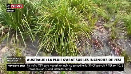 De fortes précipitations sont tombées vendredi sur les incendies qui ravagent l'est de l'Australie, au grand soulagement de certains fermiers -