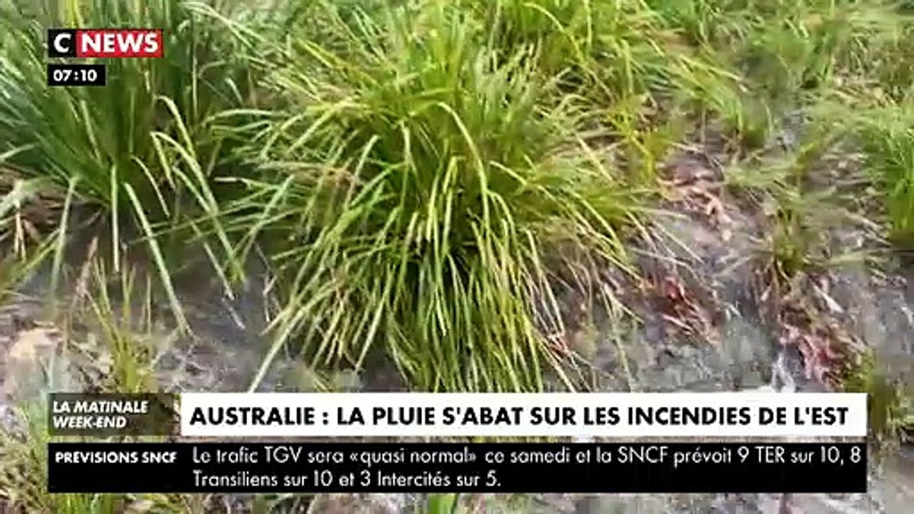 De fortes précipitations sont tombées vendredi sur les incendies qui ravagent l'est de l'Australie, au grand soulagement de certains fermiers -