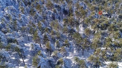 Kazdağları'ndan kartpostallık görüntüler hayran bıraktı