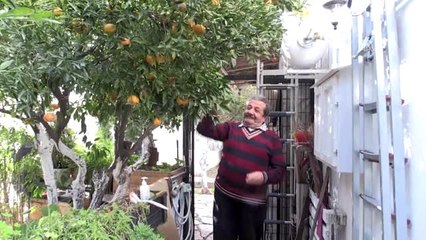 "Amil Bey", saçlarını "Kel Mahmut"u hatırlatması için kazıtmış