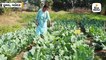 વડોદરામાં આર્કિટેક્ટનો વ્યવસાય છોડીને મહિલાએ ઓર્ગેનિક શાકભાજીની ખેતી શરૂ કરી