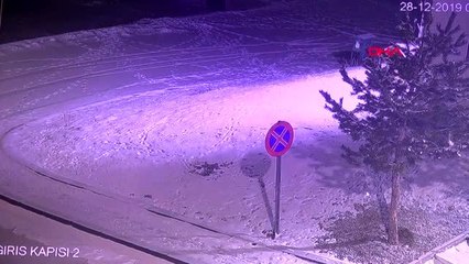 Erzurum aç kalan kurtlar köpekleri parçaladı