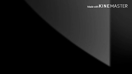 Brian Bros. Pictures logo (2019-present)