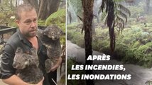 Après les incendies, des pluies torrentielles frappent l'Australie, dévastant ce parc animalier