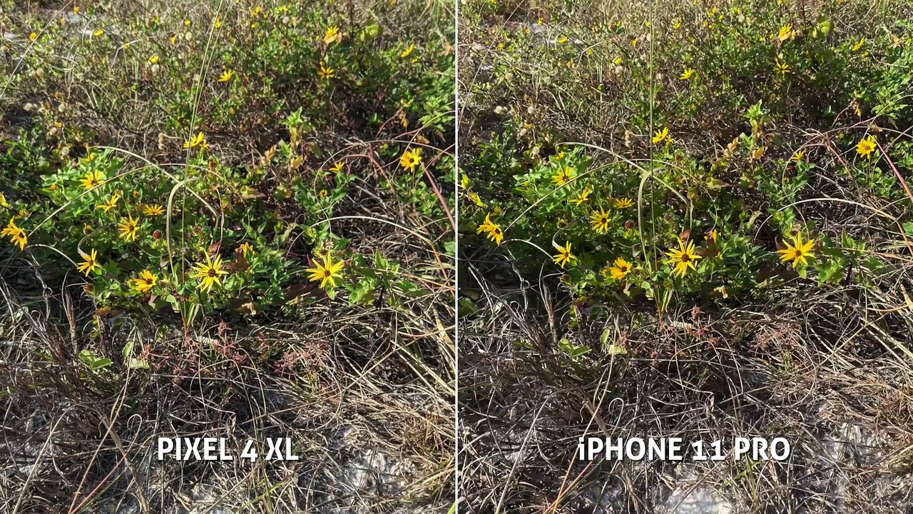 Pixel 4 XL vs iPhone 11 Pro CAMERA Test Comparison