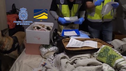 La Policía Nacional destapa una red ilegal dedicada a amañar parejas de hecho en Sagunto.