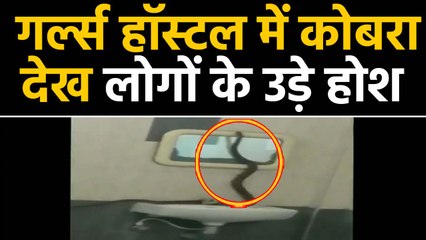 Tamil Nadu के Coimbatore में  Girls Hostel में घुसा Cobra, देंखे वीडियों | वनइंडिया हिंदी