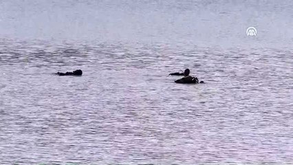 Kaybolan üniversite öğrencisini arama çalışmaları sürüyor