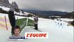 Adelisse 8e - Ski freestyle - CM (H)