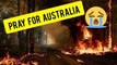 Pray for Australia  480million animals had been killed
