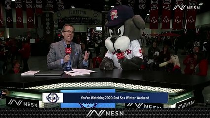 Slugger The Sea Dog Stops By Set