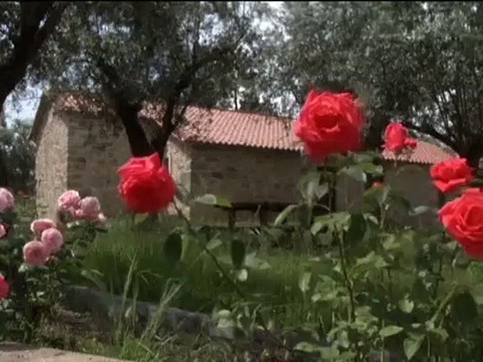 Tudo sobre o Concelho Da Sertã