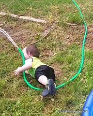 Babies and Animals Playing Together Will Melt Your Heart - Funny Baby Video