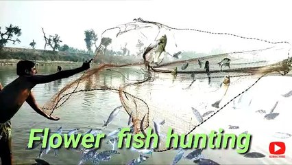 Flowers  fish hunting at jhelum river in Punjab