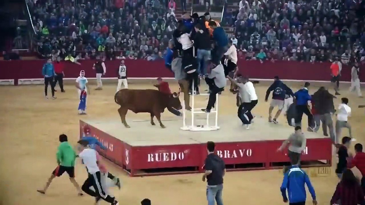 Dangerous Bull Fight Accidents Compilation 2020 - video Dailymotion