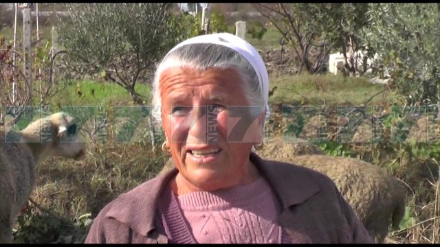 FERMERET E BERATIT HEDHIN PRODHIMET NE KANAL - News, Lajme - Kanali 7