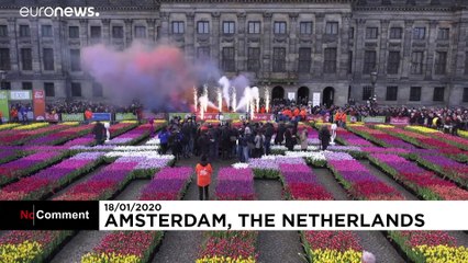 Amsterdam marks National Tulip Day with free flowers