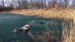 Il prend d'énormes risques pour sauver ce chien tombé dans un lac gelé