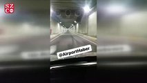 İstanbul Havalimanı apronuna tilki girdi