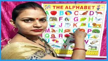 A for apple alphabets chart video,animation video,video,education video,phonics sounds with image tak words,alphabet video, alphabet videos for kids, alphabet videos for preschoolers, alphabet video kaise banaye, abc alphabet song, abc alphabet learning,