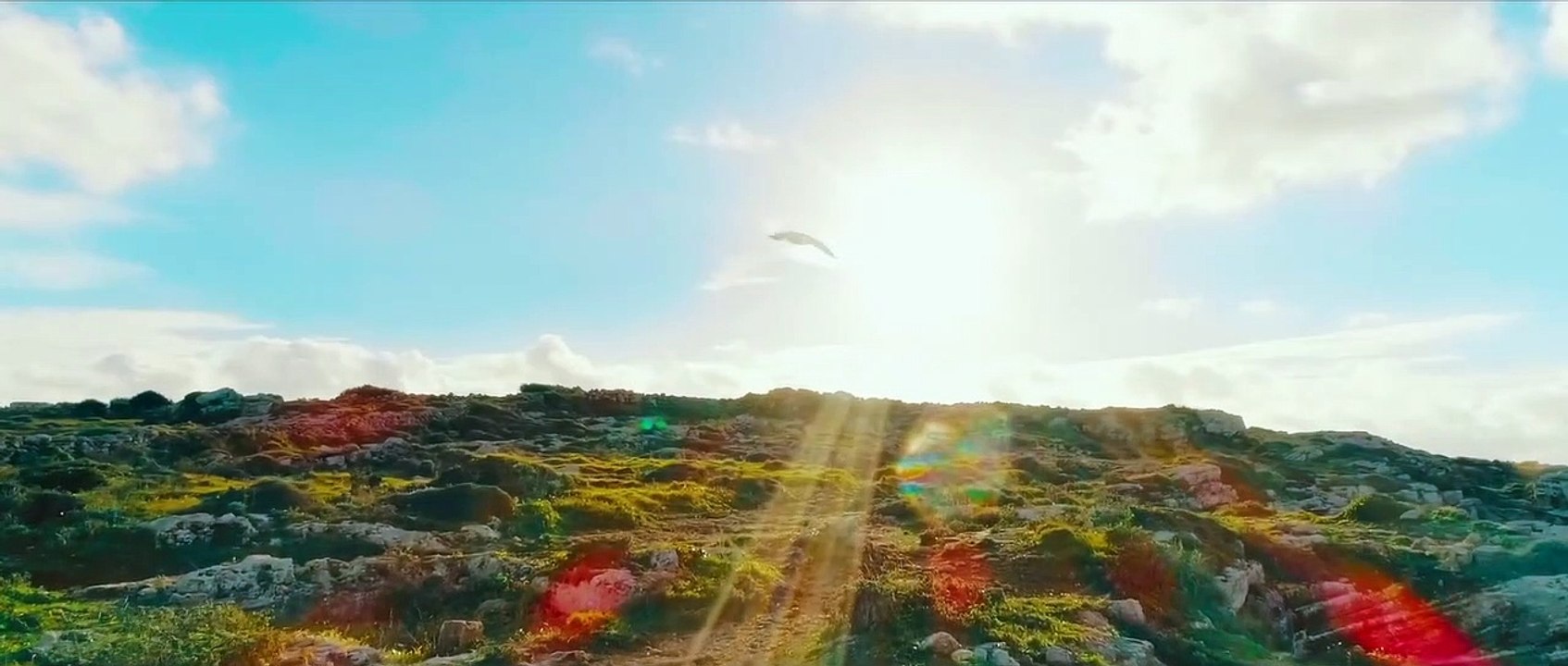 ALONE WITH HER DREAMS Movie