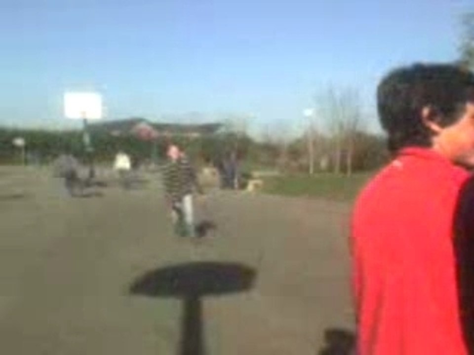Petit pogo en folie
