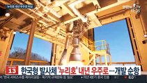 한국형 발사체 '누리호' 내년 우주로…개발 순항