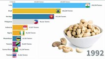 Top Largest Cashew producer Countries