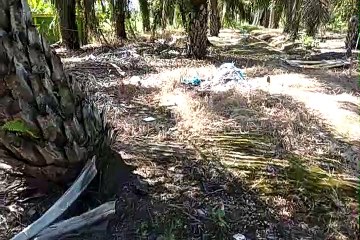 Tumpukan Sampah di Halaman Kantor Desa Bram Itam Raya