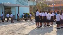 Stray dogs at school howl along to national anthem