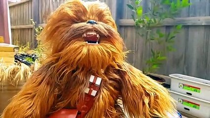 Spiderman saves SIMBA and Chewbacca - Memzo Vids-Funny Videos for kids