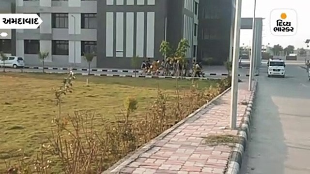 મોડાસાના સાયરાની યુવતીના મોત કેસમાં DGP શિવાનંદ ઝાએ CID ક્રાઈમને તપાસ સોંપી SIT રચી