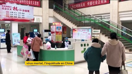 Chine : un virus mortel similaire au Sras a fait son apparition