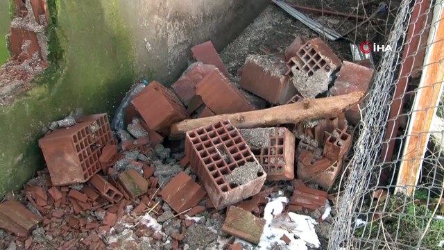 Ahırın duvarını kırıp 57 koyunu çalarak sırra kadem bastılar