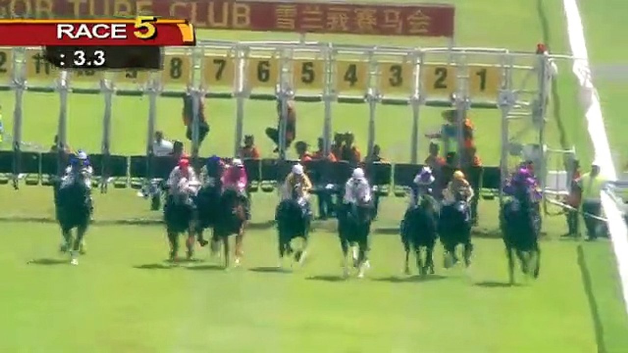 19 Jan 2020 RACE 5
