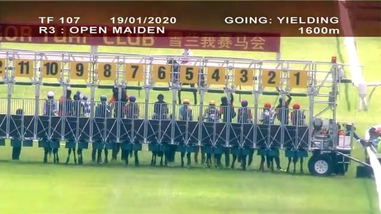 19 Jan 2020 RACE 3