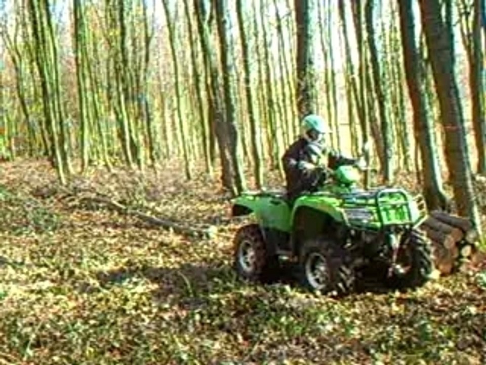 Arctic cat Quad 650 H1