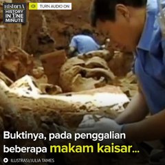 Kerang Pernah Menjadi Mata Uang