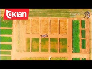 Download Video: Histori shqiptare nga Alma Çupi - Plerat Inteligjente AgroBlend!