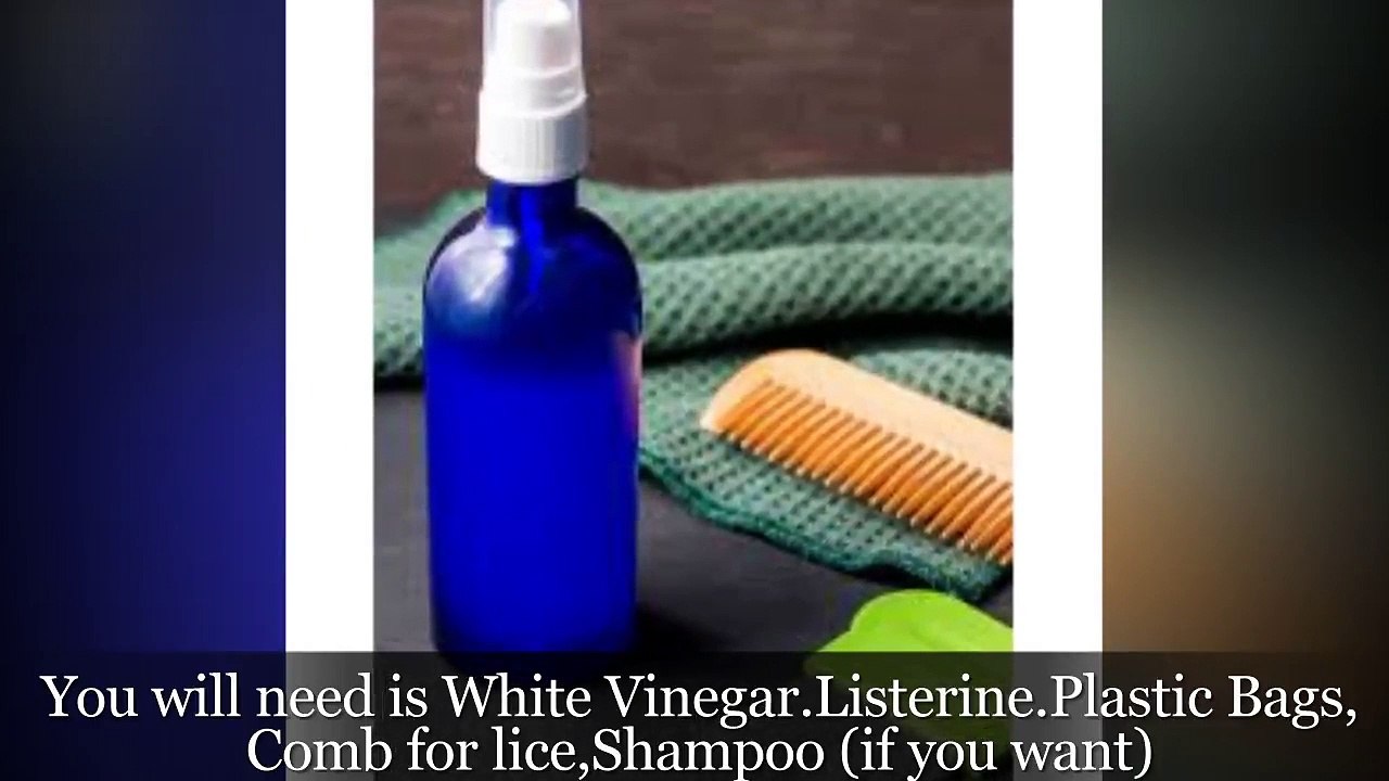 How to Get Rid of Lice at Home for lades and girls