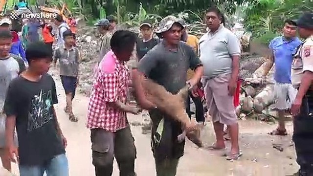Locals save goats from flooding and landslides in West Sumatra, Indonesia