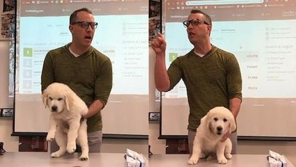 La amenaza de un profesor 'chiflado' para motivar a su alumnos: "Si perdéis mato al perro"