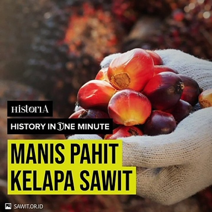 Manis Pahit Kelapa Sawit