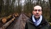 Meuse : les conseils d'Arnaud Apert, technicien à la chambre d'agriculture, aux propriétaires forestiers privés