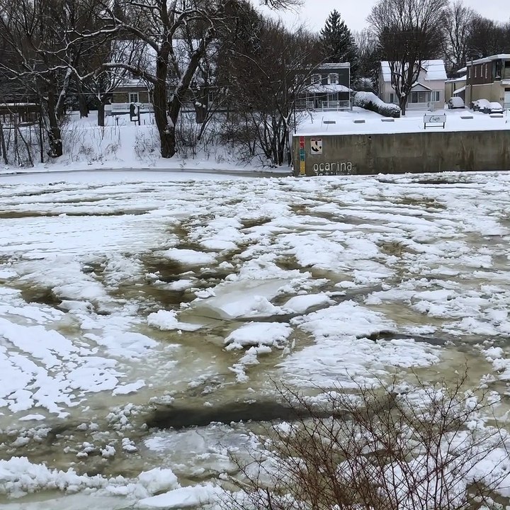 L'état de la rivière le 19 janvier