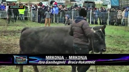 MRKONJA BRACE HUKANOVIC POBIJEDIO U SANICI 2020 KOD DADE