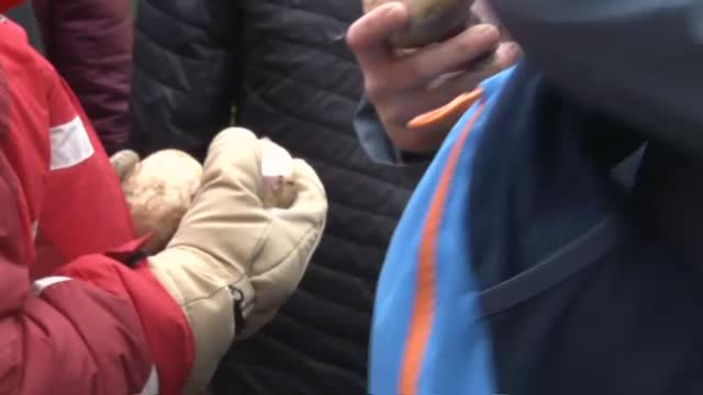 Todo preparado en el Piornal para celebrar el 'Jarramplas'