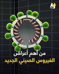 فيروس جديد يثير قلقاً دولياً