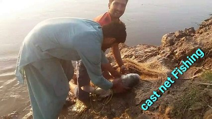 Most  satisfying  cast net Fishing  video